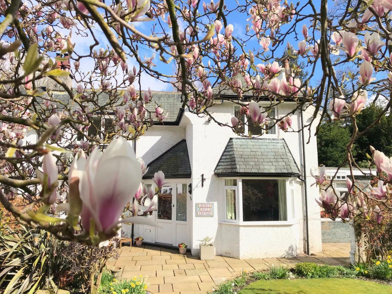 Jenkin Hill Cottage Bed And Breakfast 凯西克 外观 照片